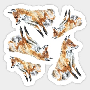 Fox - Water colour - FoxyLoxy Sticker